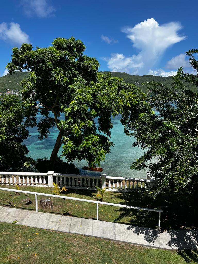 Bequia Plantation Hotel Port Elizabeth エクステリア 写真